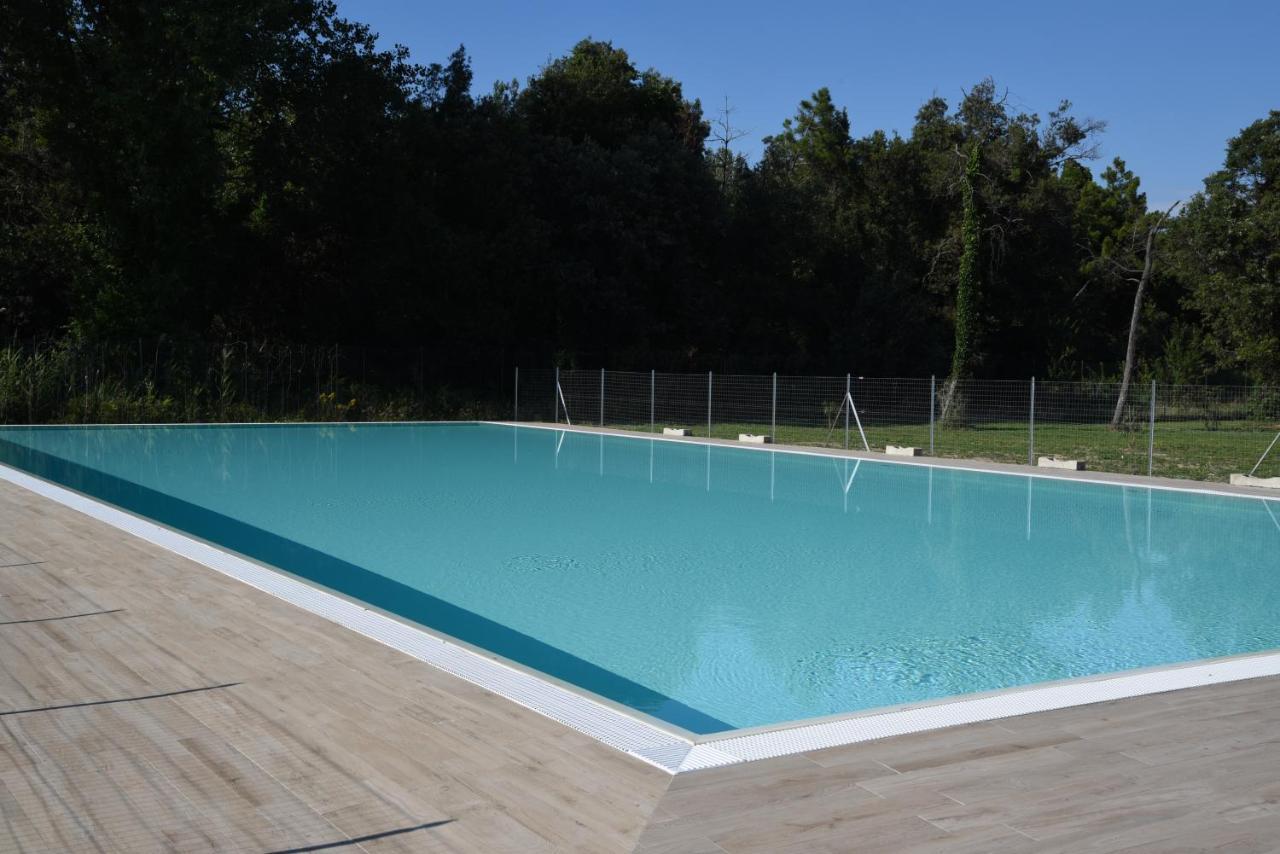 Residence Il Piviere App 7 With Private Garden Calambrone Eksteriør bilde